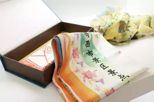 黑龍江雞西絲巾地圖亮相聯(lián)合國(guó)會(huì)展，文化產(chǎn)品獲國(guó)際贊譽(yù)